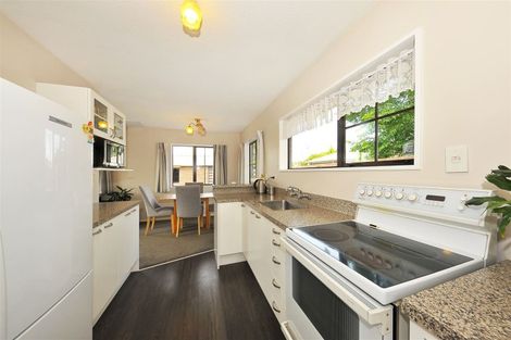 Photo of property in 117 Gilberthorpes Road, Hei Hei, Christchurch, 8042