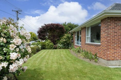 Photo of property in 19 Esperance Street, St Albans, Christchurch, 8052