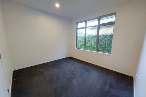 Photo of property in 17u1 Manning Street, Hamilton Central, Hamilton, 3204