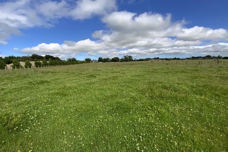 Photo of property in 169 Gladstone Road, Levin, 5571