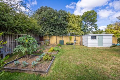 Photo of property in 32 Caernarvon Street, Dinsdale, Hamilton, 3204