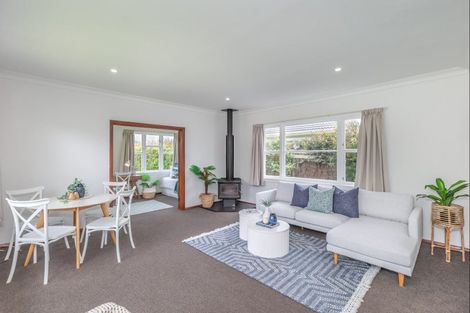Photo of property in 26 Graham Street, Levin, 5510
