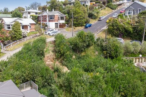 Photo of property in 2 Airedale Street, Dunedin Central, Dunedin, 9016