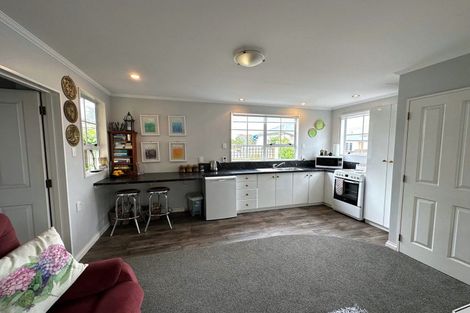 Photo of property in 103 Bannister Street, Masterton, 5810