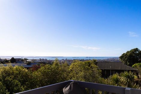 Photo of property in 28 Lodestone Road, Richmond, 7020