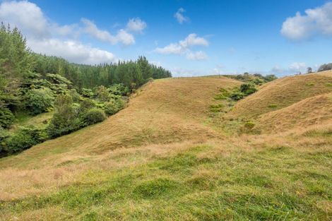 Photo of property in 88 Scott Road, Puketotara, Te Awamutu, 3876