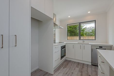 Photo of property in 30b Duke Street, Levin, 5510