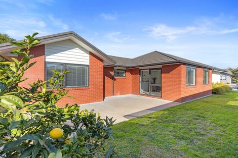 Photo of property in 16 Marion Crescent, Papamoa Beach, Papamoa, 3118