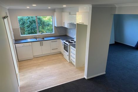 Photo of property in 184a Mitchell Street, Brooklyn, Wellington, 6021