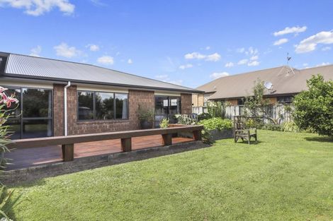 Photo of property in 17 Mckenzie Place, Matamata, 3400