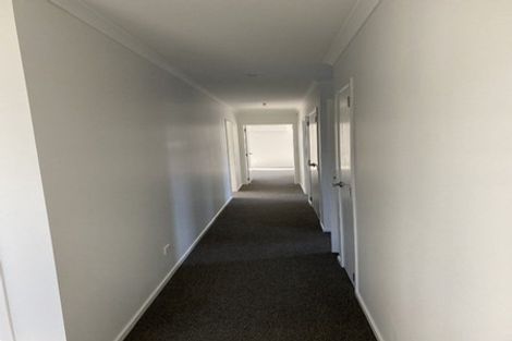 Photo of property in 5 Ash Lane, Omokoroa, 3114