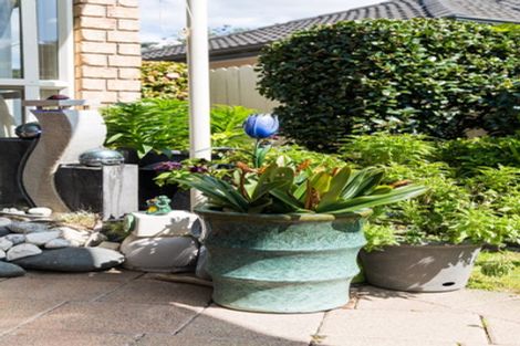 Photo of property in 8 Espalier Drive, Henderson, Auckland, 0612