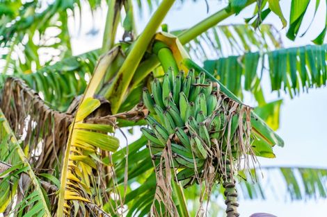 Photo of property in 57 Papa Road, Titoki, Whangarei, 0172