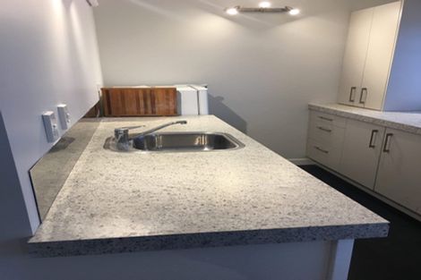 Photo of property in Hobson Court Flats, 75/70u Hobson Street, Thorndon, Wellington, 6011