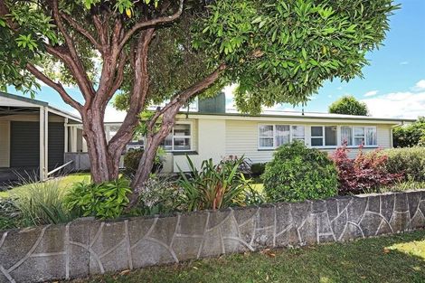 Photo of property in 405a Burnett Street, Mahora, Hastings, 4120