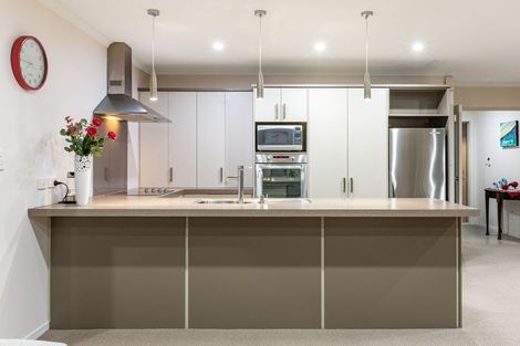 Photo of property in 19 Tongariro Drive, Aotea, Porirua, 5024