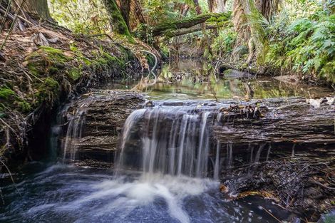 Photo of property in 42c Casey Avenue, Fairfield, Hamilton, 3214