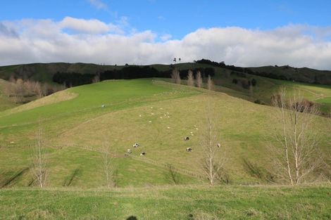 Photo of property in 17 Hill Street, Te Kuiti, 3910