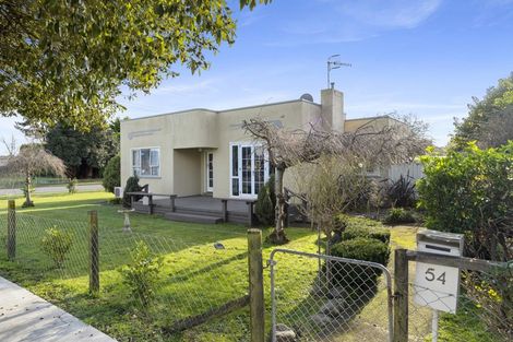 Photo of property in 54 Duke Street, Levin, 5510
