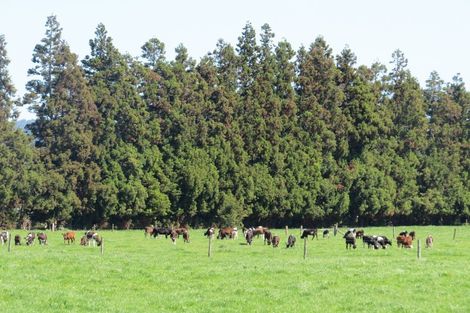 Photo of property in 30 Mathers Road, Hoon Hay, Christchurch, 8025