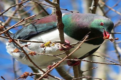 Photo of property in 9 Holland Street, Wainuiomata, Lower Hutt, 5014
