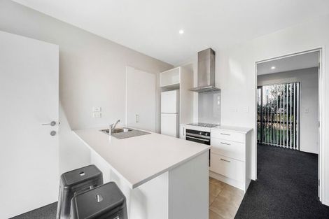 Photo of property in 32/17 Bunyan Street, Waltham, Christchurch, 8023