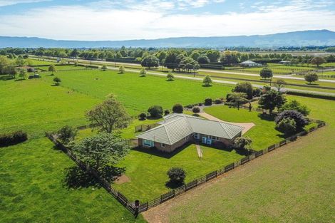 Photo of property in 126 Hinuera Road, Matamata, 3472