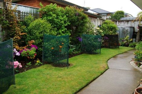 Photo of property in 3 Molyneux Place, Welcome Bay, Tauranga, 3112