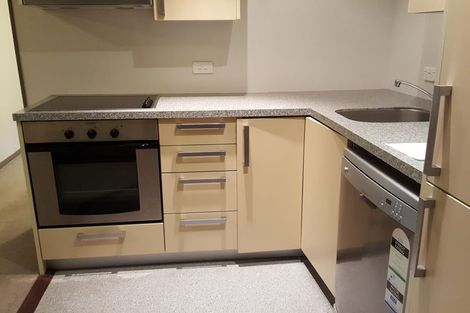Photo of property in Dual Apartments, 210/142u Vivian Street, Te Aro, Wellington, 6011
