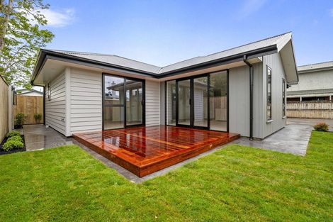Photo of property in 10 Limbrick Street, Terrace End, Palmerston North, 4410
