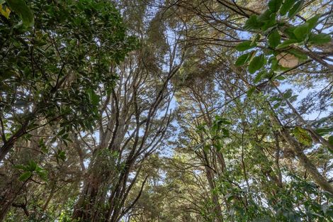 Photo of property in 454 Ngunguru Road, Glenbervie, Whangarei, 0173