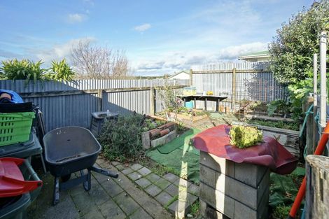 Photo of property in 37 Harris Street, Te Puke, 3119