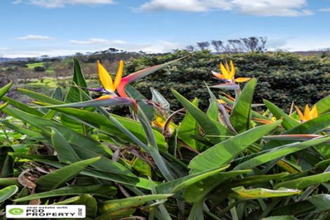 Photo of property in 22 Toetoe Road, Otaika, Whangarei, 0170