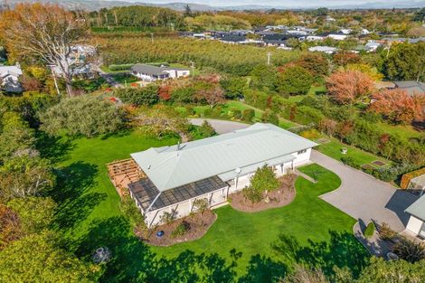 Photo of property in 31 Udy Street, Greytown, 5712