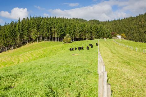 Photo of property in 923 Puketona Road, Haruru, Kerikeri, 0293