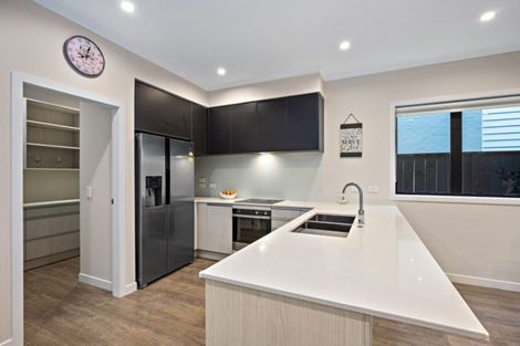 Photo of property in 14 Sacred Kingfisher Road, Hobsonville, Auckland, 0616