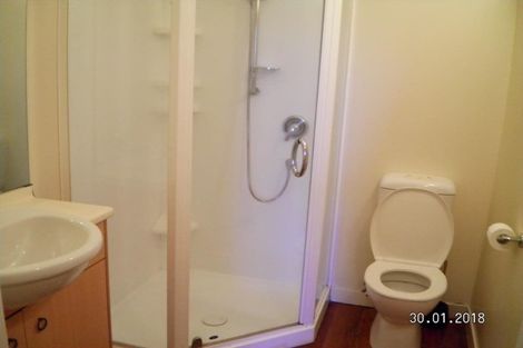 Photo of property in 3/30 Hanson Street, Mount Cook, Wellington, 6021