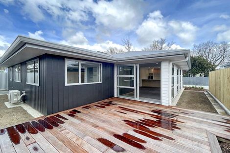 Photo of property in 490b Ferguson Street, Palmerston North, 4410
