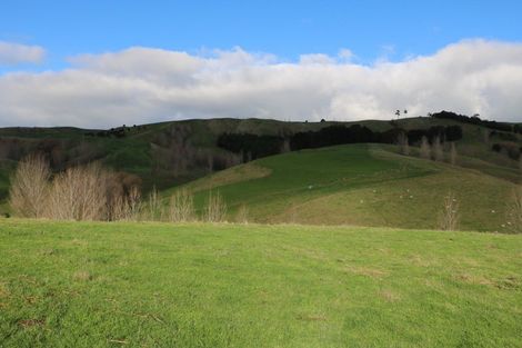 Photo of property in 17 Hill Street, Te Kuiti, 3910