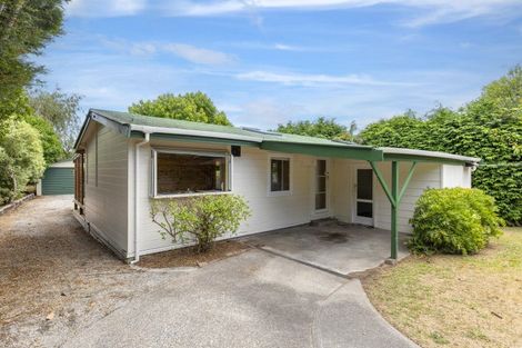 Photo of property in 47 Whakaipo Avenue, Taupo, 3330