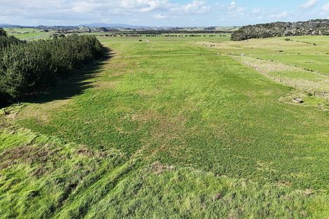 Photo of property in 413a Baylys Coast Road, Dargaville, 0377