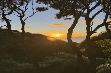 Photo of property in 126 Waihirere Drive, Tuateawa, Coromandel, 3583