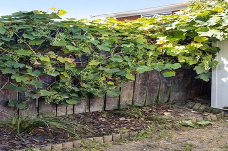 Photo of property in 21 May Street, Hamilton East, Hamilton, 3216