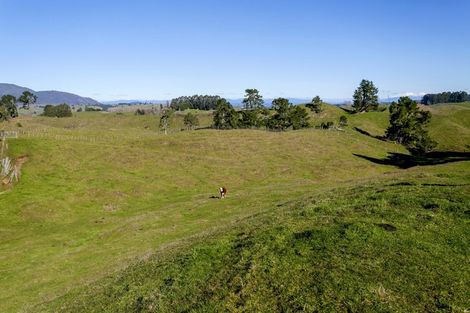 Photo of property in 151b Palmer Mill Road, Wairakei, Taupo, 3384