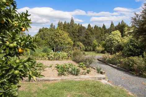 Photo of property in 214 Franklin Road, Waihi, 3682