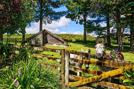 Photo of property in 8 Maungahina Road, Te Ore Ore, Masterton, 5886