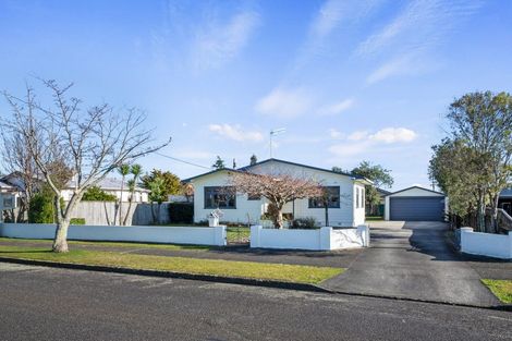 Photo of property in 47 George Street, Levin, 5510