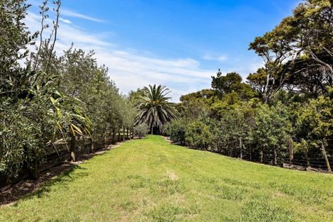 Photo of property in 81 Cape Rodney Road, Leigh, 0985