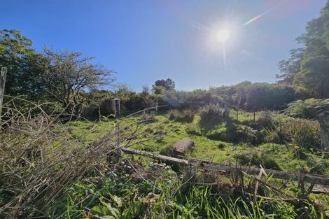 Photo of property in 157 Greenstone Road, Kumara, 7832