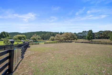 Photo of property in 240 Mill Flat Road, Riverhead, 0793